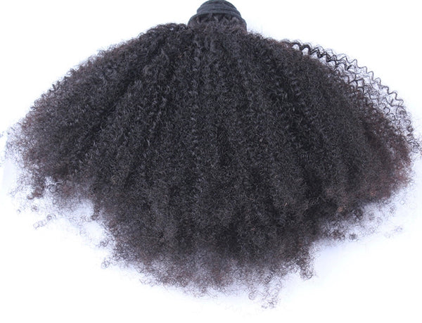 Afro Kinky Curly (4b-4c)
